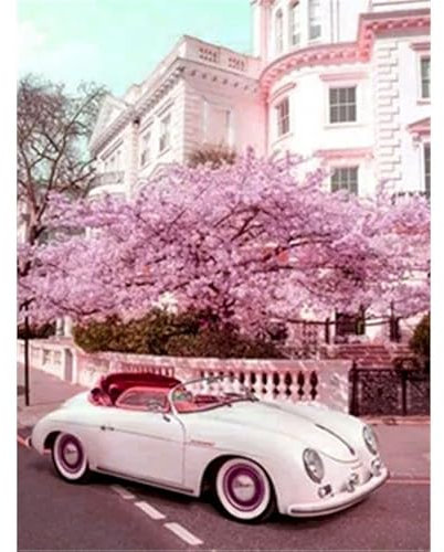 TOCAVE Malen nach Zahlen Ölgemälde nach Zahlen Erwachsene rosa Baum Landschaft Malerei Set Zahlen Bilder auf Autos Einzigartige Geschenke Heimtextilien 40x50cm