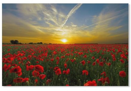Sonnenuntergang, Mohnblumen, Puzzle 1000 Teile für Erwachsene, klassisches Puzzle für Kinder, herausfordernde und schwierige Puzzles für Erwachsene und Jugendliche, 50 x 70 cm