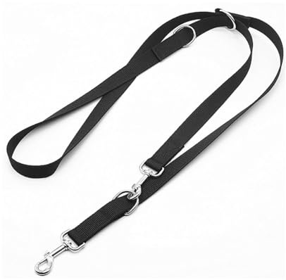 Laisse pour chien, 2,5 m, réglable, avec 2 mousquetons, laisse d'entraînement et laisse double en nylon, robuste, pour chiens de petite et moyenne taille, noire