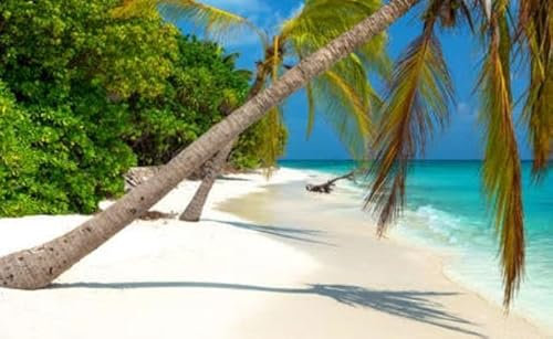 Holz-Bild 100 x 60 cm: Tropischer Strand auf den Malediven (36898523)