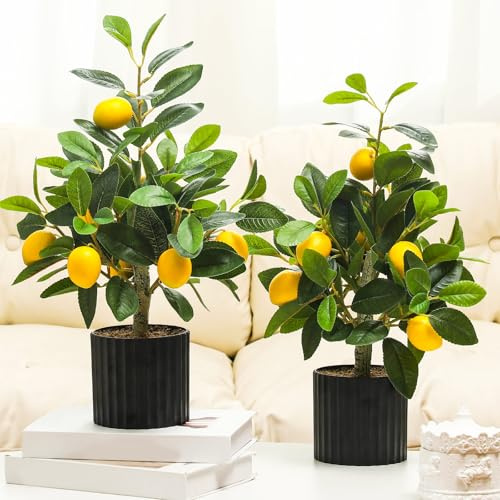 Giegxin 2 limoneros artificiales de 15.7 pulgadas, plantas artificiales en maceta, árbol de cítricos de limón sintético con maceta, plantas de imitación para interiores para el hogar, cocina, oficina