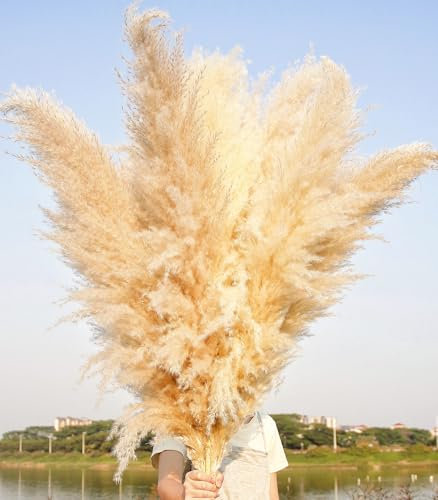 10 PCS 120 cm Pampas XXL Pampasgras - Große künstliche Trockenblumen, Deko für Bodenvasen, Schlafzimmer & Wohnzimmer - Boho-Stil, Ibiza-Deko, Deko-AST & Deko-Gras