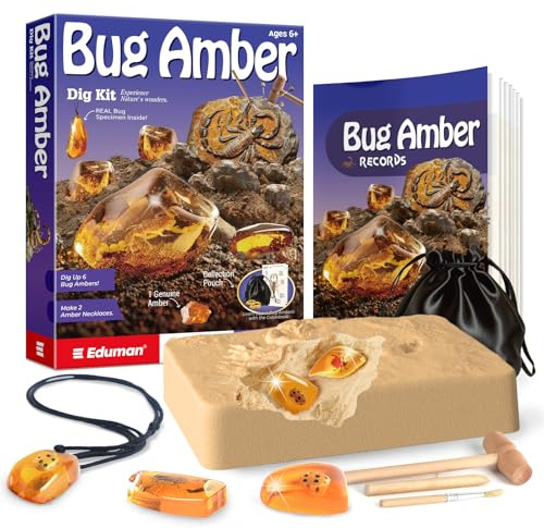 EDUMAN Amber Fossil Dig Kit, 1Genuine Amber, 6 Real Insect Crystals & Gemstone, Rocks & Stones & Bugs Excavation Kits, Educational Stem Toys Digging Set, Science Kit for Kids Age 6 7 8 9 10 11 12