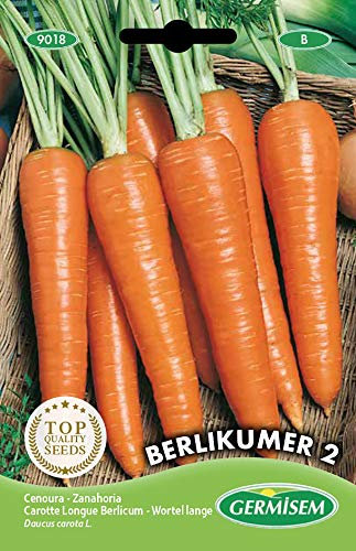 Germisem Berlikumer 2 Semi di Carota 10 g