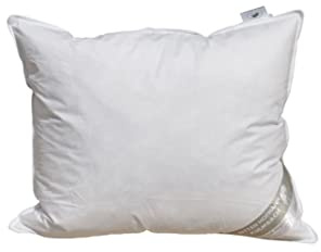 Betten Hofmann Pusta Kopfkissen 50x60 Kissen Kleinkissen Kuschelkissen 480 g 30% Daunen