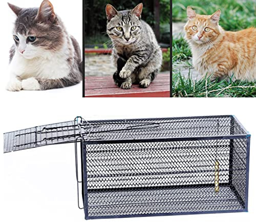 Animal Trap Rabbit Trap Cage - Cat Trap for Stray Cats, Humane Feral Cat Trap Rust Proof & Durable for Farms, Gardens, Home Gardens, Capturing Trap Stray Cat (Size : 51.5 * 25.5 * 25.5cm)