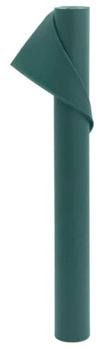 vidaXL Wintervlies, Frostschutz Luftdurchlässig Reißfest, Multifunktional Winterschutz Abdeckung für Pflanzen, Winterhaube Frostschutzhaube, 70 g/m² 10x1,6 m