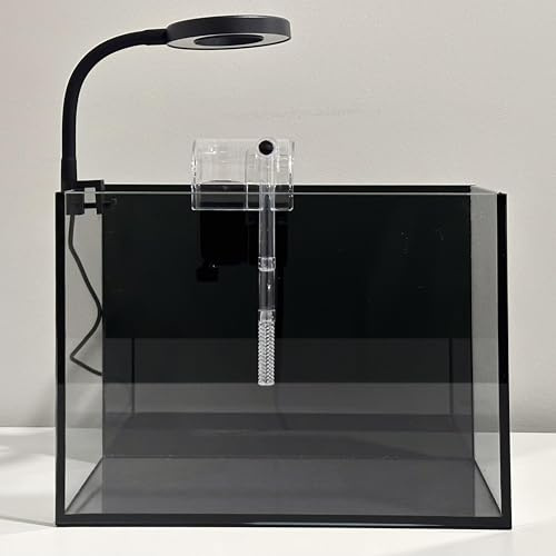 Nano Aquarium Kit 2.2 Gallon, Rimless Glass Betta Fish Tank with Filter & LED Light, 12 x 6 x 8 Small Desktop Fish Tank for Home Office