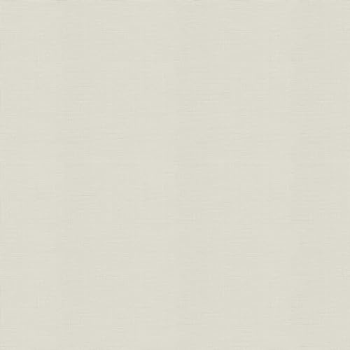 Papier peint intissé Double largeur Tissage Lenora 1005 x 104cm Beige