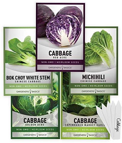 Gardeners Basics, Cabbage Seeds for Planting 5 Individual Packets Bok Choy, Michihili (Napa) Chinese Cabbage, Red, Golden Acre and Copenhagen Market Early for Your Non GMO Heirloom Vegetable Garden