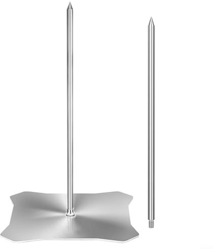 HavenDomicile Spiedo verticale in acciaio inox per barbecue barbecue grill carne spiedo 22,9 cm e 38,1 cm aste per barbecue a gas Kamado carbone