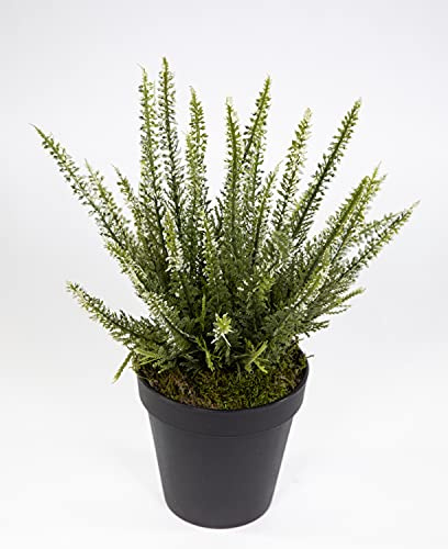 Seidenblumen Roß Künstliches Erika/Heidekraut 30cm weiß im Topf DP Kunstpflanzen Kunstblumen Erikabusch