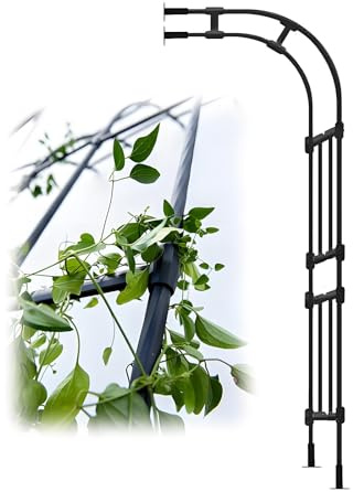 Arche de jardin pour plantes grimpantes, treillis métallique 240 cm, spali mural décoratif en demi-arc, portail résistant aux intempéries, noir, 60 x 240 x 45 cm, idéal pour les vignes et les coulées