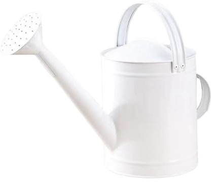 Fenteer Arrosoir Métal 4L Jardin Pot à Eau Bec Long avec Poignée Ergonomique Fer Résistant à La Rouille Grande Capacité Adapté Plantes D'Intérieur Arrosage Ex, Blanc