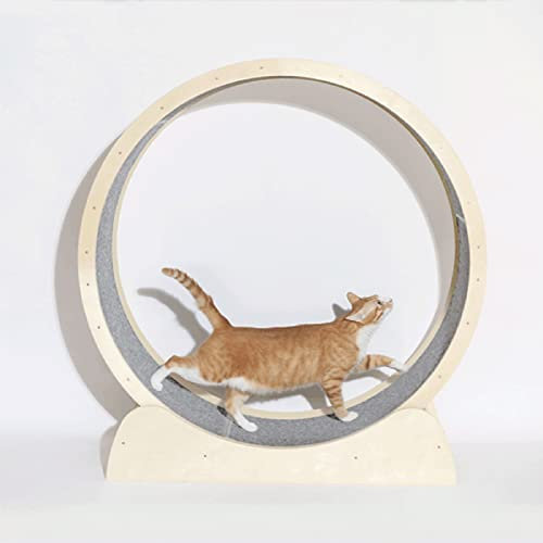 Katzenlaufrad Natürliches Massivholz-Katzenübungsrad, Katzenlaufband mit kompletten Installationswerkzeugen, Gewichtsverlust-Katzenrad für Indoor-Katzen, super tragfähig (Größe: Größe M)