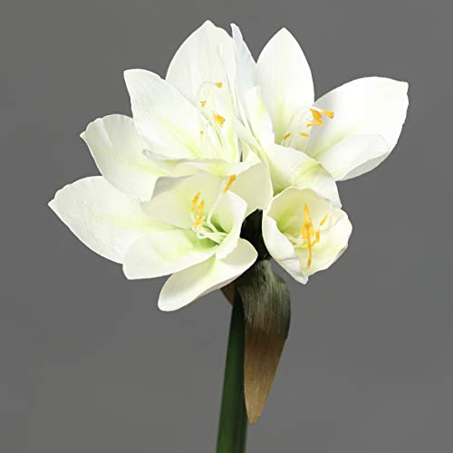 Seidenblumen Roß Amaryllis Real Touch 36cm DP Kunstblumen künstliche Blumen Pflanzen (Weiß)