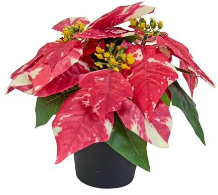 Baoblaze Künstliche Weihnachtssterne, künstliche Bonsai-Pflanzen, Weihnachtsdekoration, dekorative künstliche Pflanzen für den Winter zu Hause, Urlaub, Style A