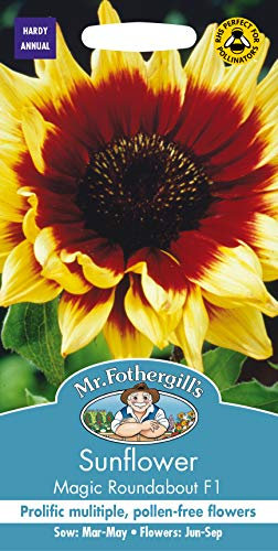 Mr Fothergill's 14923 Sunflower Magic Roundabout F1 Seed, Bicolour, 0.3 x 7.5 x 14.5 cm