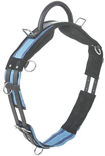 Busse Longiergurt mit Handgriff, Pony, Navy/Sky Blue