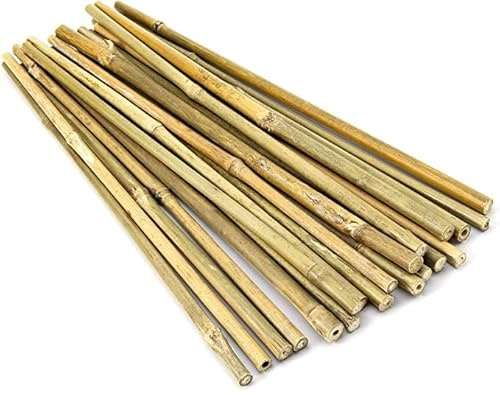 50 Tutori bambu Paletti Piante Canne bamboo Supporto varie lunghezze per orto e decorazione (200)