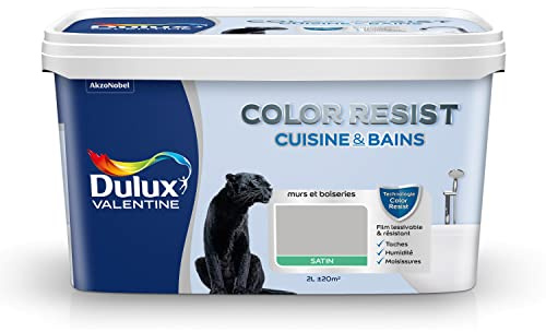 Dulux Valentine Color Resist - Peinture Intérieure Pièces Humides - Pour Murs, Plafonds, Boiseries - Lessivable et Résistante - Couleur : Béton Gris Satin - 2 L - 5261981