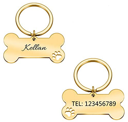 Erkennungsmarken für Haustiere, aus Edelstahl, personalisierbare Hunde- und Katzenmarken, beidseitig graviert, hochglanzpolierter Edelstahlknochen (Large, Gold)