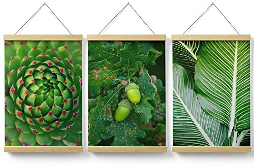 Feeby Posterleiste Set 3 Bilder Blätter Kaktus Aurora 60x90 cm Eiche Magnetische Poster-Hänger Posterhalter Posterschiene Posterrahmen Wohnzimmer Schlafzimmer Bild Bilder Pflanzen Natur Grün