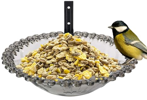 Vogelbad für den Garten, an der Wand montierter Vogelfutterspender, hängendes Vogelbad und Futternapf für den Außenbereich, transparent, zum Aufhängen, Statue