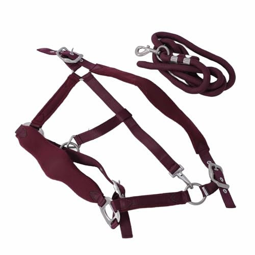 CCYLEZ Trainingshalfter für Pferde, verstellbare Polyester-Halfter für den Alltag (L)