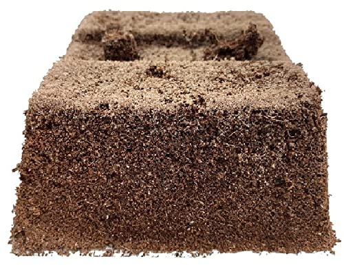 Flowerbox TerraBrick Floral Media - 8 Ziegel im Papiertray