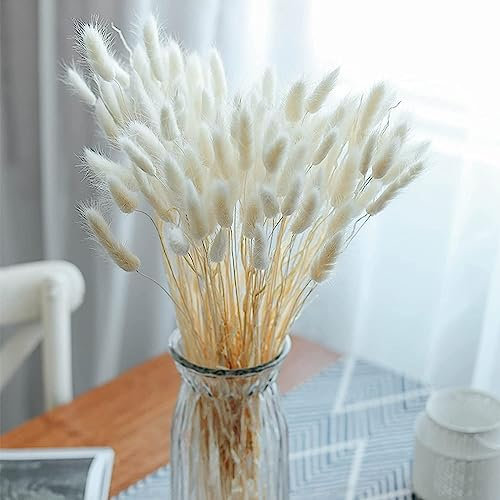 FANNAS 60 Pezzi Erba Della Pampas Fiori Secchi Coda di Coniglio Bouquet Fiori Secchi Naturali Boho Decor Bouque Pampa di Coniglietto Essiccato per Matrimoni Home per La Casa Feste Rustiche (Bianco)