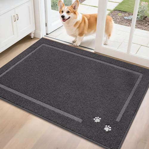BEQHAUSE Schmutzfangmatte, rutschfest, Schmutzfangend, Dunkelgrau, 80x120cm | Waschbar Eingang Fussmatte Innen, Polyester, für Front Hintertür, Eingang, Flur, Niedriges Design, Haustierfreundlich