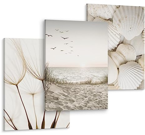 Muralo Wandbilder 3er-Set, Boho, Muscheln Strand, Kunstdruck - 30x40 cm | Leinwandbild, Modernes Design, Aufhängefertig, UV-beständig - ideal für Wohnzimmer und Schlafzimmer, edle Optik