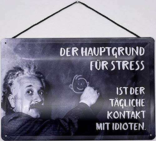 Blechschild mit Kordel 30 x 20 cm Albert Einstein: Der Hauptgrund für Stress ist der tägliche Kontakt mit Idioten. - Blechemma