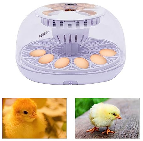 DSYOGX 12 Eier Eierinkubator Brutautomat Automatischer Brutmaschine Vollautomatisch Eierbrüter kann Hühner, Enten, Tauben und Wachteleier Ausbrüten Inkubator, Einstellbare Temperatur Brutautomat