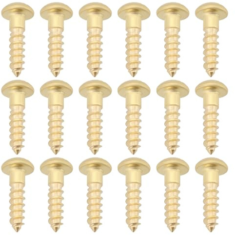 Be In Your Mind Boite de Vis, Lot de 100 vis à bois M3 x 12 mm en laiton à tête ronde à tête bombée pour bricolage et meubles