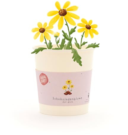 Schokoblumen-Anzuchtset als besonderes Geschenk | Anzuchtbecher mit Saatgut, Kokos-Quelltablette & Anleitung | Nachhaltige Geschenkidee zum Geburtstags, für Erzieher, als Mitbringsel für Naschkatzen