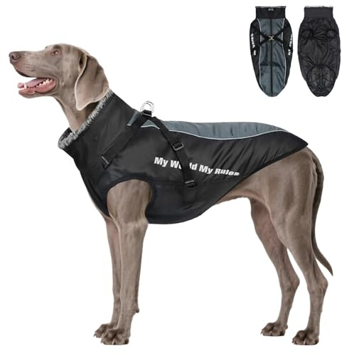 Votoko Invierno CáLido Abrigos para Perros, Impermeable y a Prueba de Viento Abrigo Perro, Abrigo Perro Grande Grande e Mediano, con Correa de Hombro Extraíble y Bandas Reflectantes (3XL)