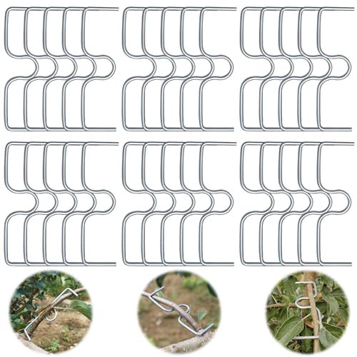 Raxfekro Lot de 30 écarteurs de branches d'arbre fruitier, support pour branches de fruits, pinces à branches en métal pour branches de jardin, pour écarter et étirer les branches d'arbres fruitiers