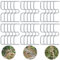 Raxfekro Lot de 30 écarteurs de branches d'arbre fruitier, support pour branches de fruits, pinces à branches en métal pour branches de jardin, pour écarter et étirer les branches d'arbres fruitiers