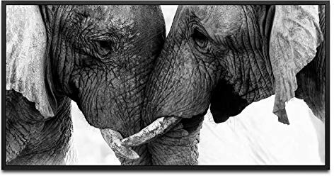Elefanten ca. 130x70cm Wandbild inklusive Schattenfugenrahmen schwarz - Panorama Leinwand Bild XXL Format Wandbilder Wohnzimmer Wohnung Deko Kunstdrucke