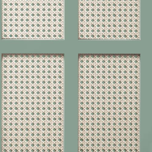 Sample Green Cane Wood Panel Wallpaper Wicker Rattan Modern Contemporary