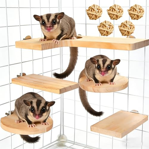 10PCS Hamster Zubehör Set aus Holz, Hamster Spielzeug, Kleintier Plattform Spielzeug mit L Sprungbrett, Runden Rechteckigen Flächen und 5 Bälle für Meerschweinchen, Chinchilla, Ratten Wellensittich