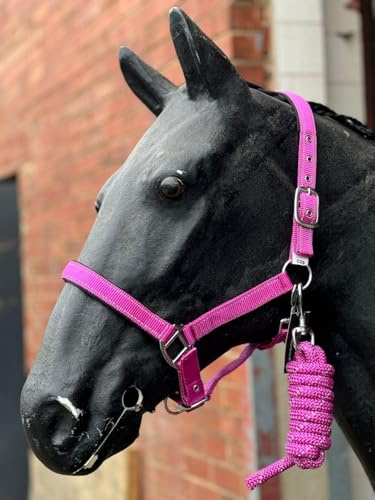 Equipride Reflektierendes Halfter und Führstrick Set Neopren gepolstert Full-Shetland Neon Pink (Full)