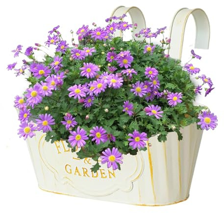 Buerfu 2 Stück Blumentöpfe Zum Aufhängen Hängend,Vintage Metall Hängetöpfe Blumentopf Mit Abnehmbaren Haken Und Ablauflöchern Für Balkon, Zäune, Fenster, Geländer
