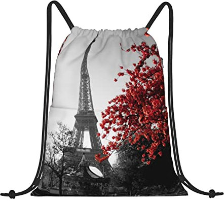 LAMAME Triangel Streifen Bohemian Muster gedruckt Kordelzug Rucksack Casual Sport Rucksack Neutral Turnbeutel, Grau Paris Eiffelturm Stadtbild Rote Blume, One size