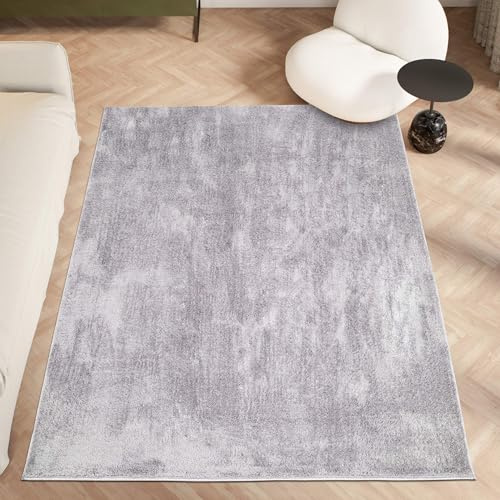 Montella Area Rugs - Soft Plush High-Pile, Anti-Slip Backing, Modern Monochrome Design - Machine Washable, Non-Shedding Fluffy Rug for Living Room, Bedroom, Kitchen - (Grey, 80x150)