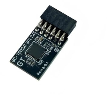 JINTAI TPM 2.0 Module TPM SPI 12 Pin Module for Gigabyte Motherboard B760 Gaming X WIFI6E GEN5 B760 Gaming X GEN5 B760 Gaming X DDR4 GEN5 Compatible with GCTPM2.0 SPI 2. 0