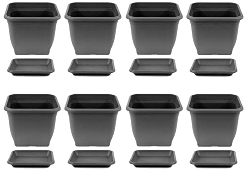 HAC24 8X Pflanztopf 40 x 40 cm Kunststoff incl. Untersetzer Eckig Anthrazit Pflanzkübel Pflanzuntersetzer Blumentopf Blumenkübel Pflanzcontainer