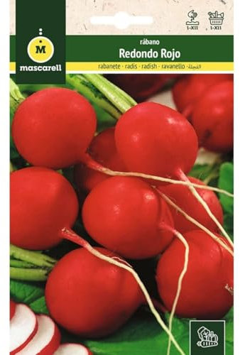 Mascarell Semillas, RÁBANO, Semillas Huerto, RABANITO REDONDO ROJO, Crea tu Propio Huerto Urbano y Cultivo en Casa, Plantas Hortícolas, 14 Gramos